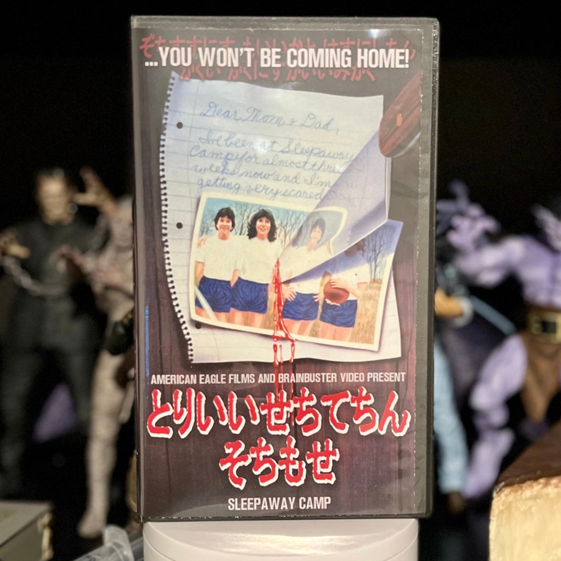 Sleepaway Camp VHS Art Piece