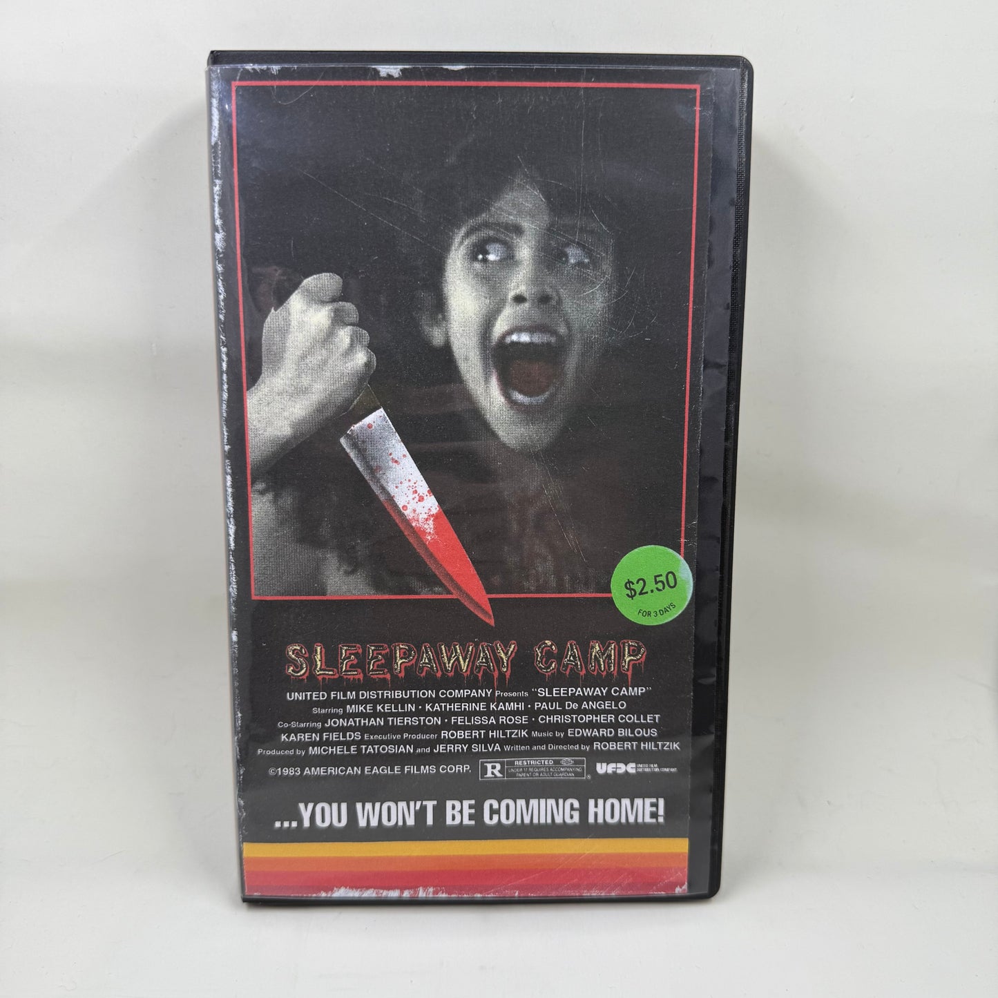 Sleepaway Camp VHS Art Piece